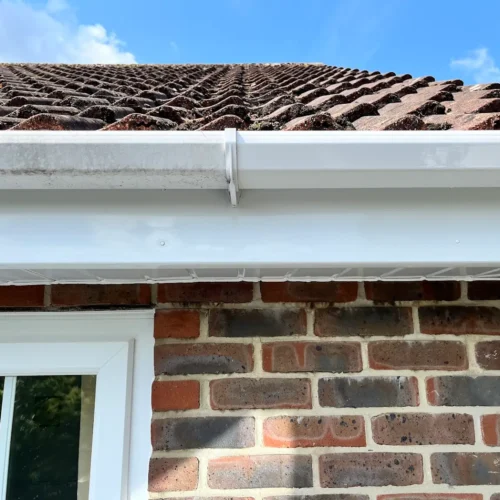 Fascia & Soffit Cleaning